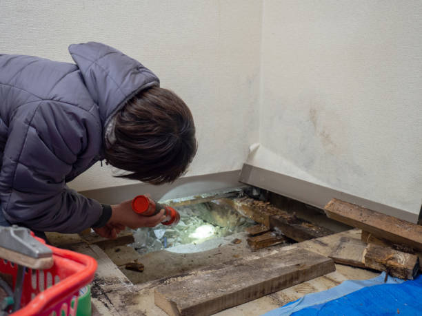 Best Emergency Mold Remediation  in Morristown, NJ
