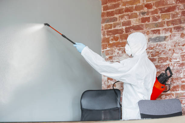 Best HVAC Mold Inspection and Cleaning  in Morristown, NJ