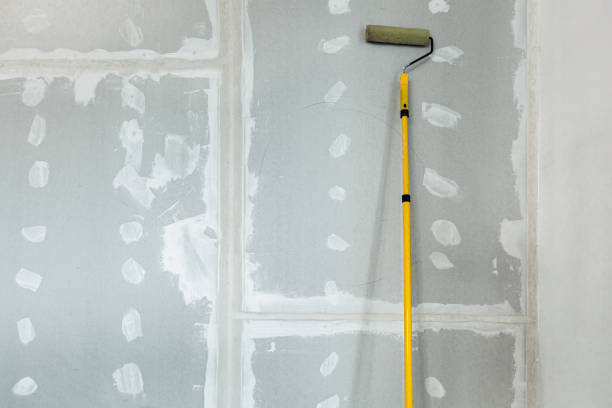 Best Black Mold Removal  in Morristown, NJ