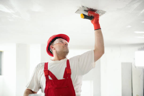 Best Mold Odor Removal Services  in Morristown, NJ